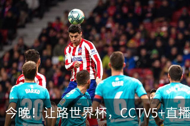 今晚！让路世界杯，CCTV5+直播中国男篮，NBA球员杨瀚森能否出战？CBA球员领衔